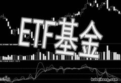 etf基金和股票一样吗 etf股票型基金的区别