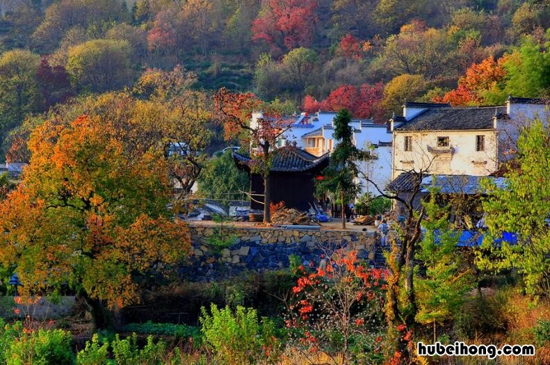 十一月份适合旅游的地方有哪些 十一月哪里旅游最好