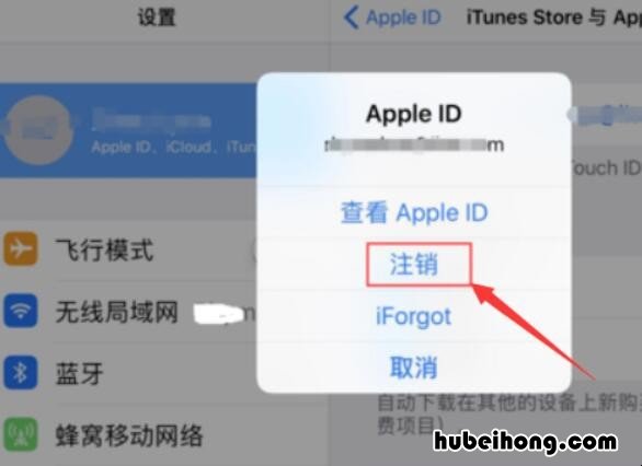 ipad怎么删除apple id账号 怎样删除ipad的ID