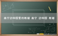 南宁动物园里的熊猫 南宁 动物园 熊猫