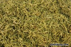 金银花是什么颜色的好 金银花是什么颜色的
