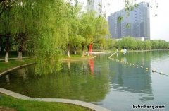 合肥市天鹅湖是人工湖吗 合肥天鹅湖面积多少平方公里人口