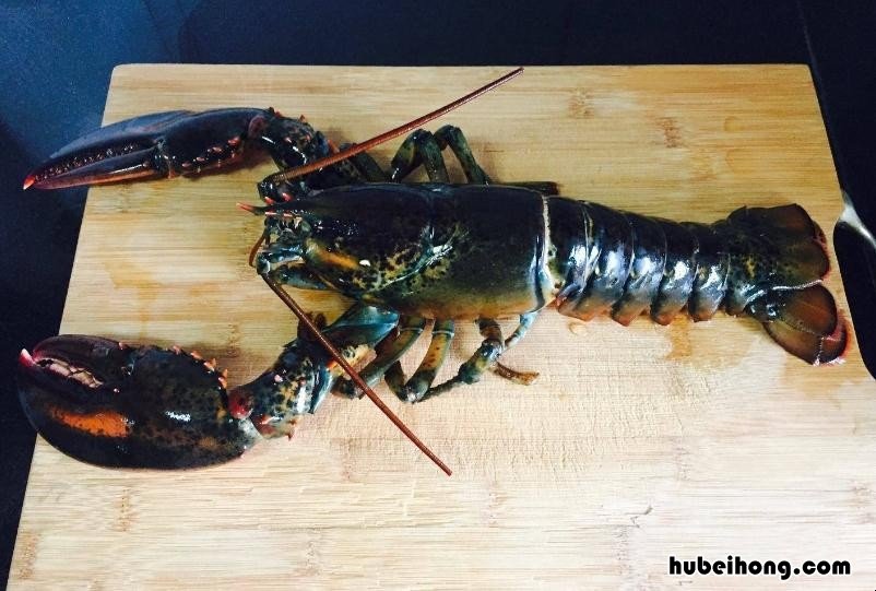 龙虾肉发黑怎么回事 龙虾肉发黑发软是什么原因