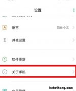 Oppo手机的开发者选项在哪 oppo手机的开发者选项在哪