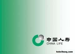 中国人寿万能账户app下载官网 中国人寿寿险app下载万能账户