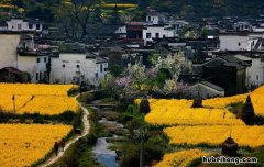 婺源周边旅游景点推荐 婺源有哪些旅游景点