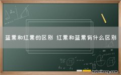 蓝票和红票的区别 红票和蓝票有什么区别