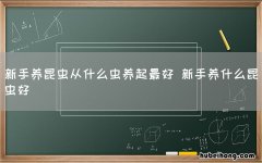 新手养昆虫从什么虫养起最好 新手养什么昆虫好