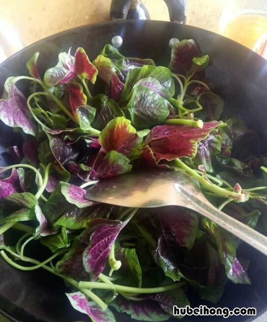 苋菜吃法视频 苋菜栽培视频
