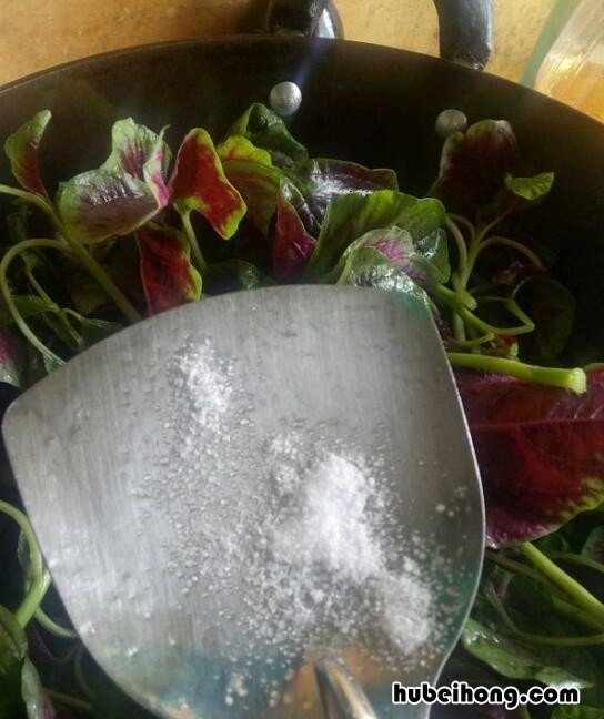 苋菜吃法视频 苋菜栽培视频