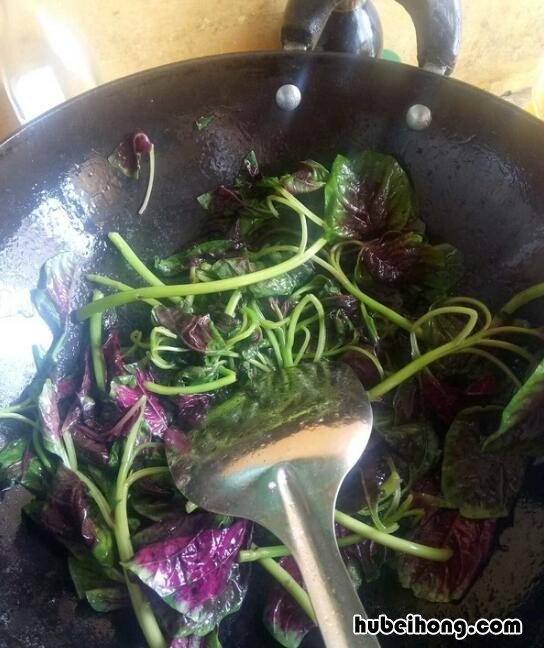 苋菜吃法视频 苋菜栽培视频