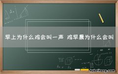 早上为什么鸡会叫一声 鸡早晨为什么会叫