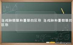 乌鸡种翡翠和墨翠的区别 乌鸡种和墨翡翠的区别