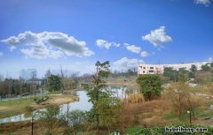 成都凤凰山森林公园要门票吗 成都凤凰山森林公园在什么地方