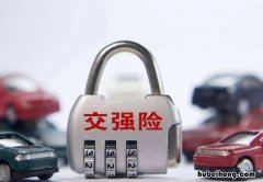 交强险保单掉了怎么补 交强险保单丢失可以补打吗