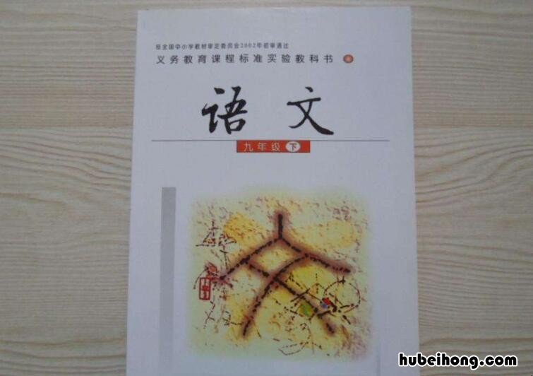 怎样学好语文课程 怎样学好语文课程与教学论