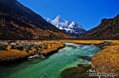 旅游怎样节约钱 旅游的钱是否应该省下来