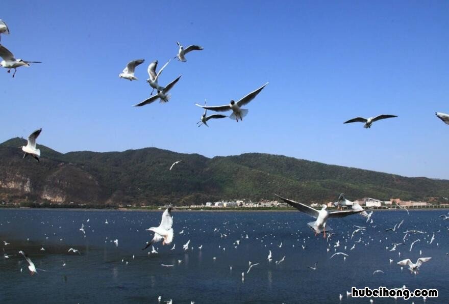 昆明哪里好玩免费景点 昆明哪里好玩免费景点推荐