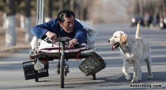 忠爱无言观后感500字作文 忠爱无言电影观后感600字