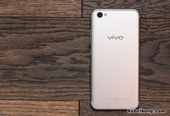 vivo手机掉进水里了怎么办 vivo手机掉入水中怎么办