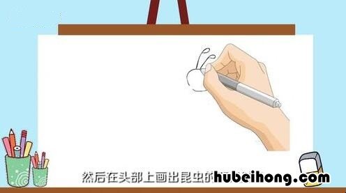 昆虫怎么画简单又好看 昆虫怎么画