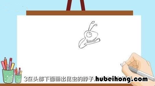 昆虫怎么画简单又好看 昆虫怎么画