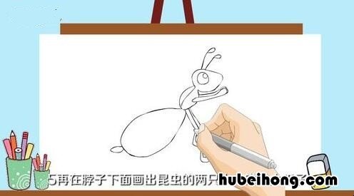 昆虫怎么画简单又好看 昆虫怎么画