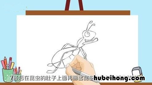 昆虫怎么画简单又好看 昆虫怎么画