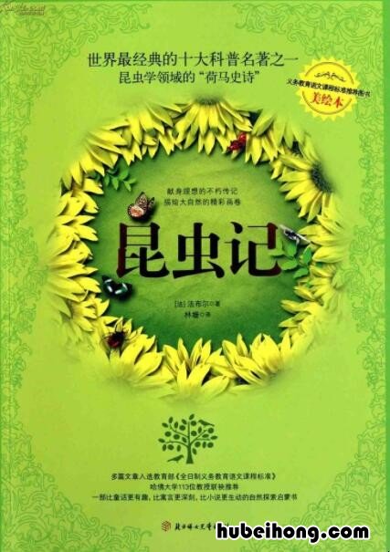 昆虫记读书笔记每章摘抄及感悟 昆虫记读书笔记每章的摘抄及感悟