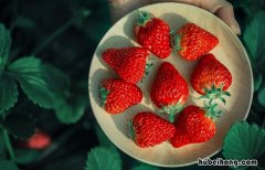 什么食物不能放冰箱冷藏 什么食物不能放在冰箱里保存