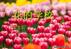 花的学校概述 花的学校具体内容