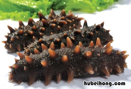 如何挑选海参,泡发的海参什么样的好 如何挑选海参,我们需要注意这些