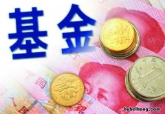 共同基金与投资基金哪个好 共同基金和基金