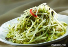 豆芽怎么吃最好吃 豆芽好不好吃