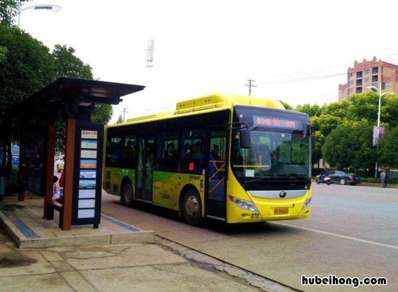 公交车需要什么驾驶证才可以开 公交驾驶证能开什么车
