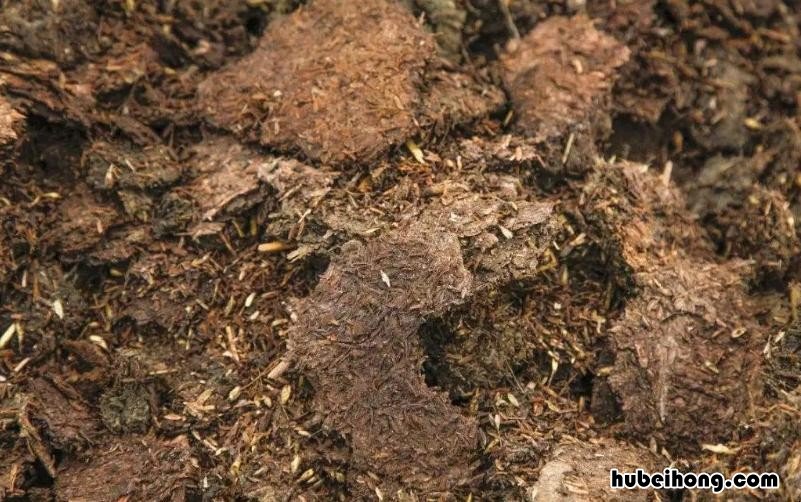 农家肥怎么发酵腐熟不生虫子不臭? 农家肥怎么发酵好