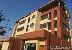 使用真石漆具有哪些优点和缺点 使用真石漆具有哪些优点呢