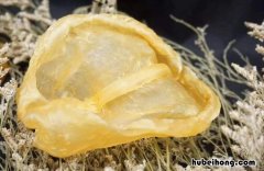 如何挑选鱼胶和花胶的功效视频 花胶鱼胶有什么区别
