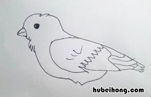 简笔画的麻雀 麻雀的画法简笔画