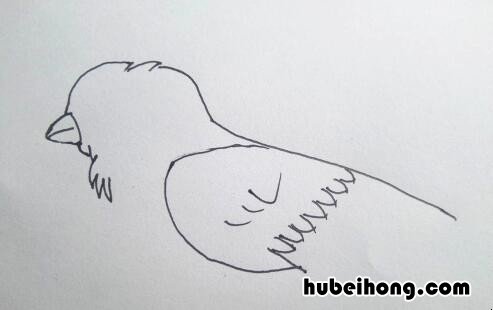 简笔画的麻雀 麻雀的画法简笔画