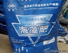 什么是海藻肥,有哪些功效 海藻肥是什么肥