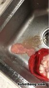 如何自己制作肠衣 自己制作肠衣