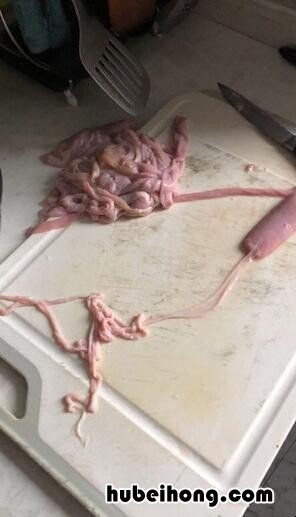 如何自己制作肠衣 自己制作肠衣
