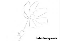 素描菊花怎么画 画菊花的画法