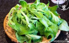 冰草怎么种植的 冰草怎么种植是哪的植物
