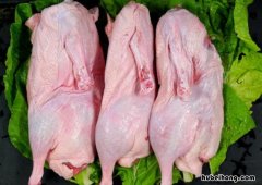 鸭肉是红的是没熟吗 怎么分辨鸭肉新鲜不新鲜