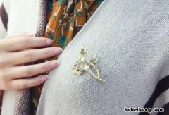 女胸针的戴法图片大全 女士胸针戴法