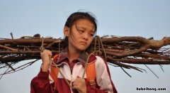 孝女彩金观后感300字三年级 孝女彩金电影观后感400字作文