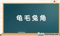 龟毛兔角是什么意思 龟毛兔角的动物打一生肖