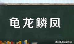 龟龙麟凤是什么意思 龙龟凤麟是什么意思